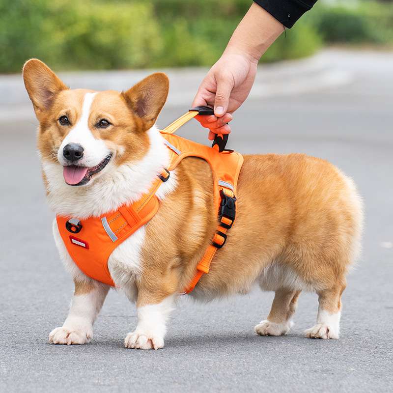 【ハーネス】多機能ペット用首輪 コーギー用快適ハーネス 小型犬 中型犬 大型犬 おしゃれ かわいい 脱げない  胴輪 介護