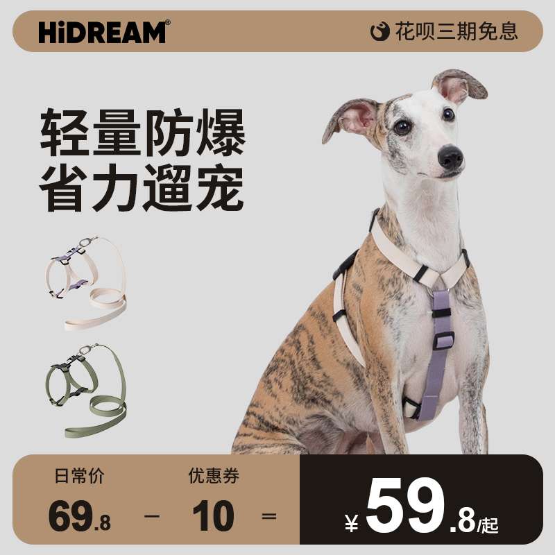 セットアップ