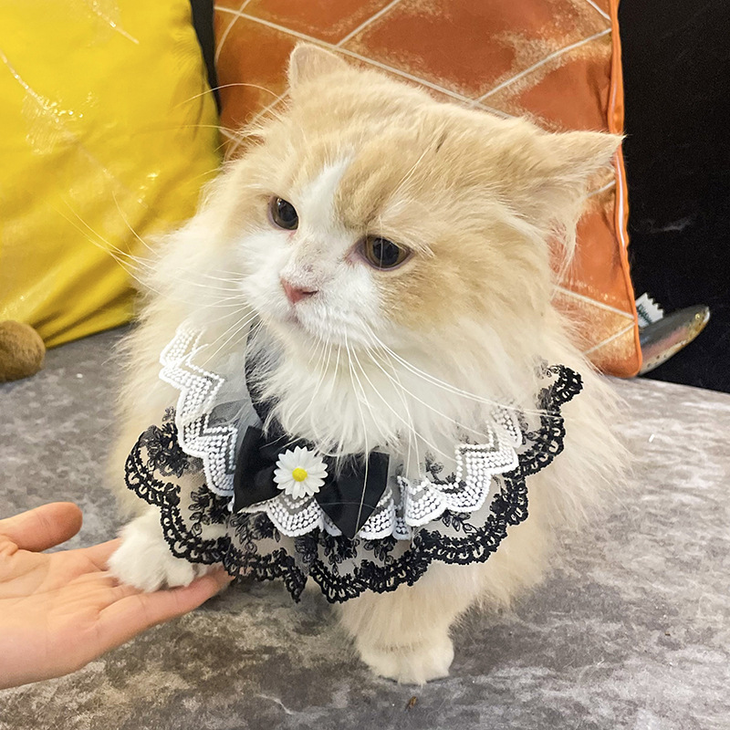 ペット用首輪 華やかレース花飾りリボン付き猫用首輪