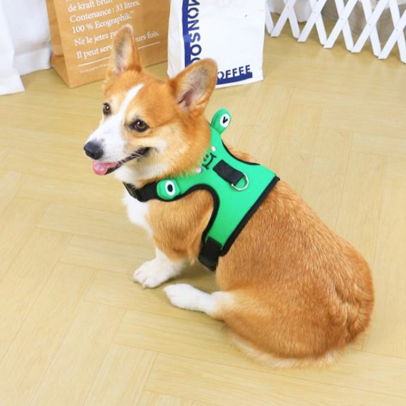https://fulmo-img-server.com/poppuppy/220f3b68-b113-42ec-801c-9a2adc73f68c.jpg