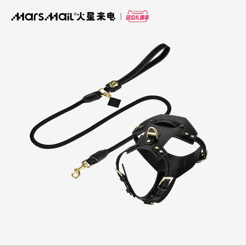 ペット用首輪 高級上品ハーネス＆リードセット