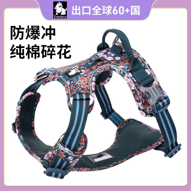 セットアップ
