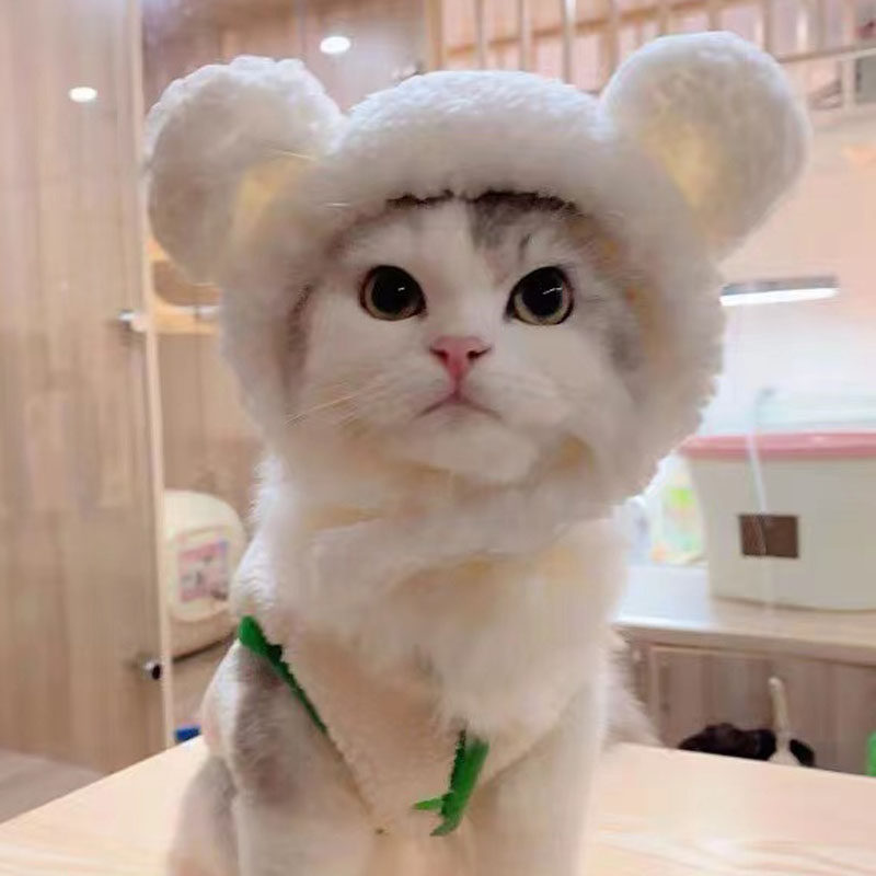 https://fulmo-img-server.com/poppuppy/25d72269-f0e7-45b1-828e-29aab74bfcad.jpg
