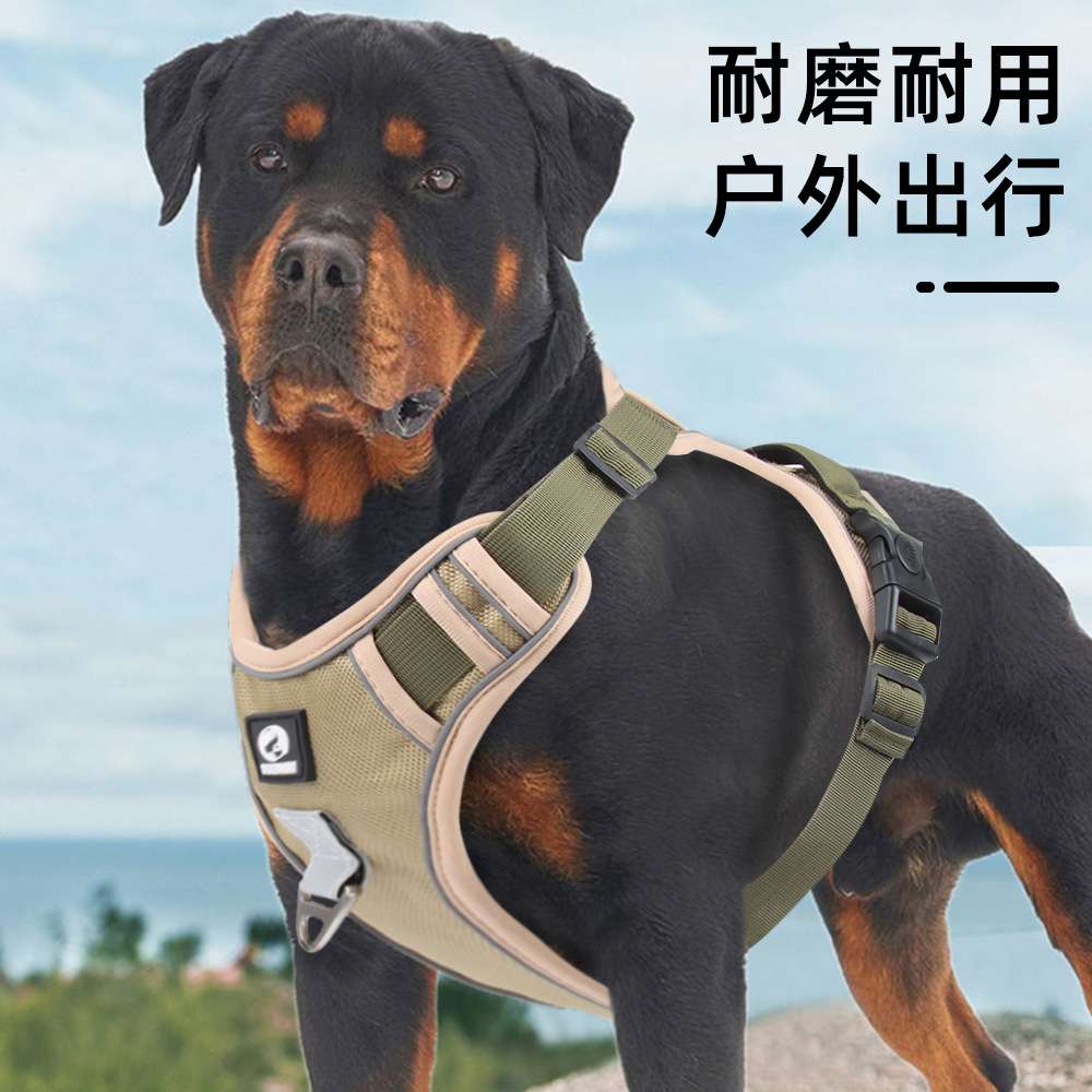 セットアップ