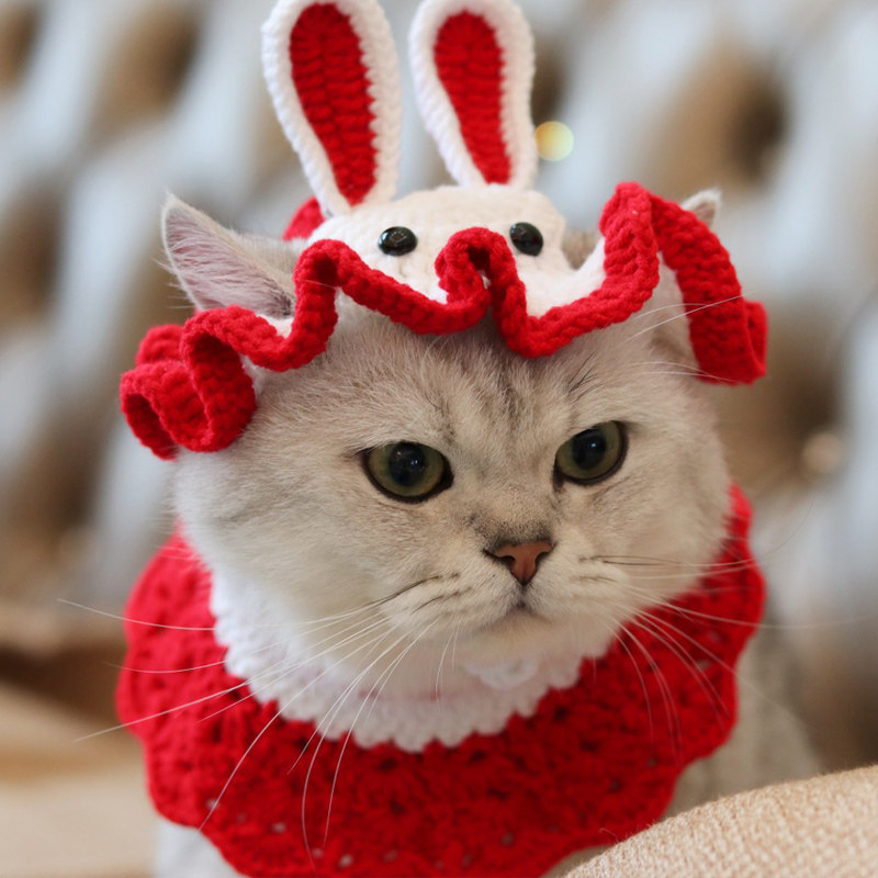 https://fulmo-img-server.com/poppuppy/2b0c6856-9fd7-45d8-abb2-51c6f1384c3f.jpg