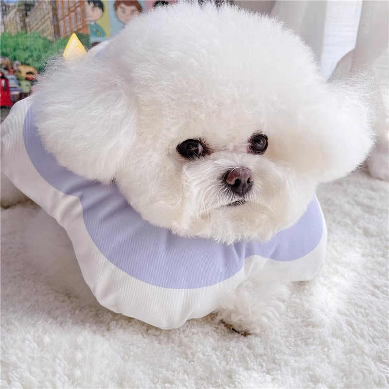 https://fulmo-img-server.com/poppuppy/2bbc0197-8641-42f4-81e6-ccc5ac1002f2.jpg