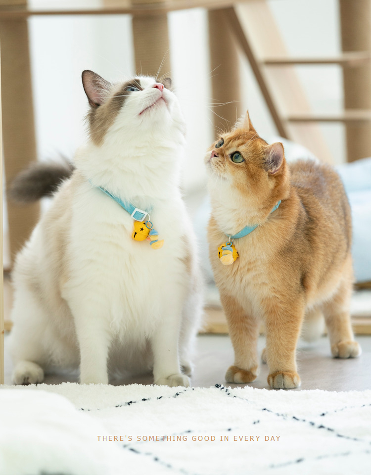 ペット用首輪 音色リンリン 猫の鈴付き首輪