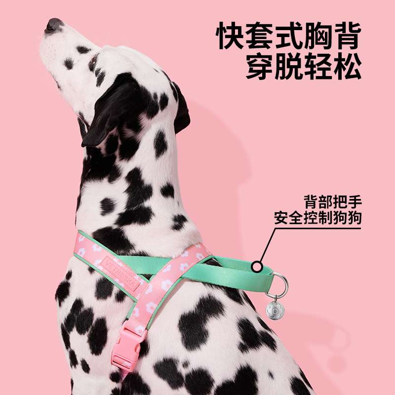 ペット用首輪 優雅な細身犬専用やさしいハーネス