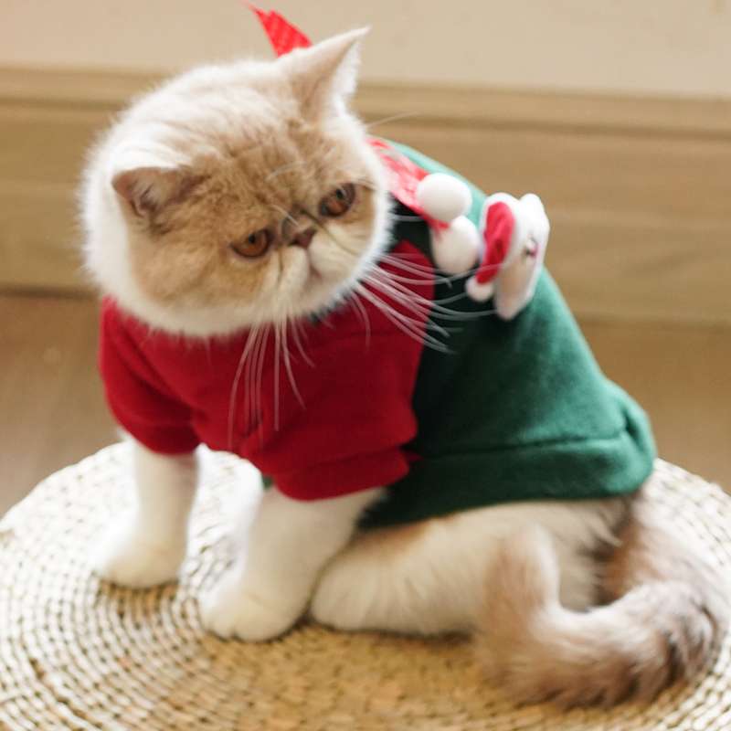 クリスマスウエア