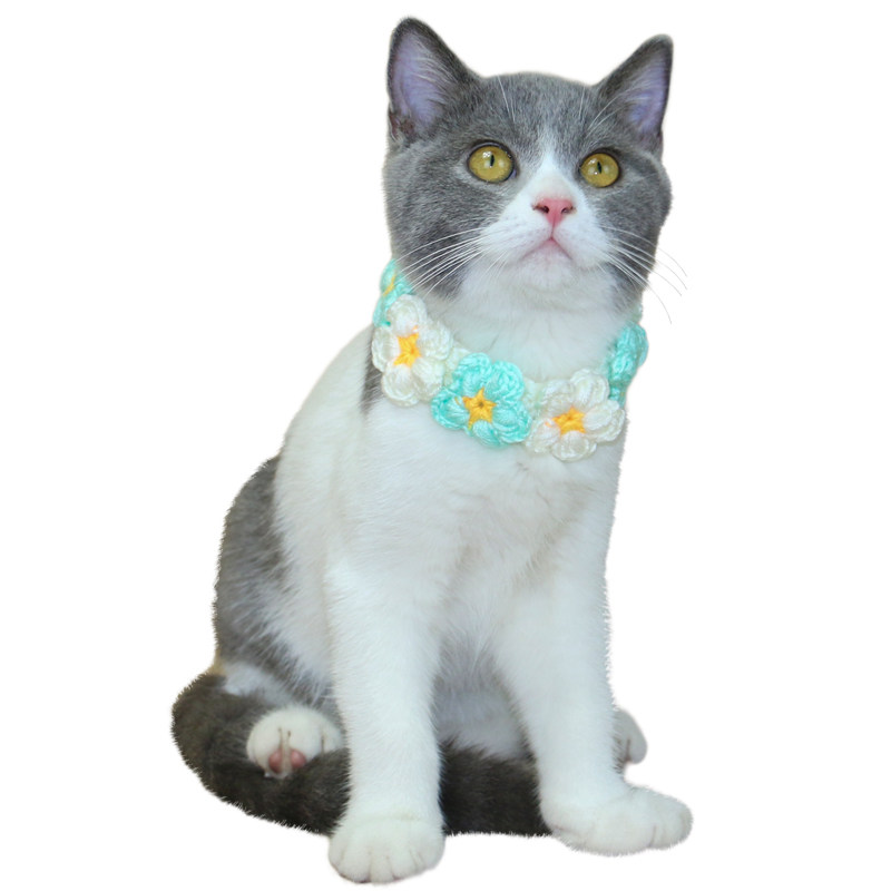 https://fulmo-img-server.com/poppuppy/3753ce72-f358-4899-b2cb-032343f8b9fd.jpg