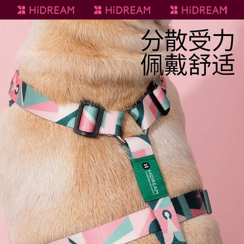 セットアップ