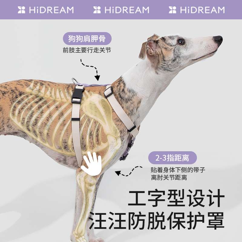 セットアップ