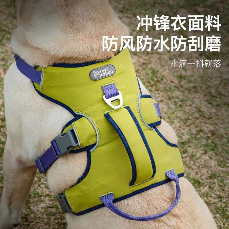 セットアップ