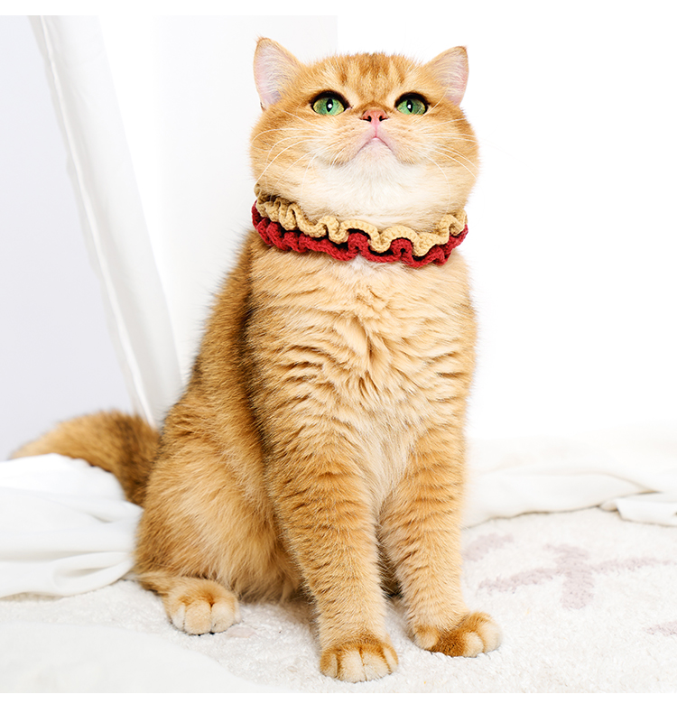 ペット用首輪 ふんわりフリルの猫専用首輪