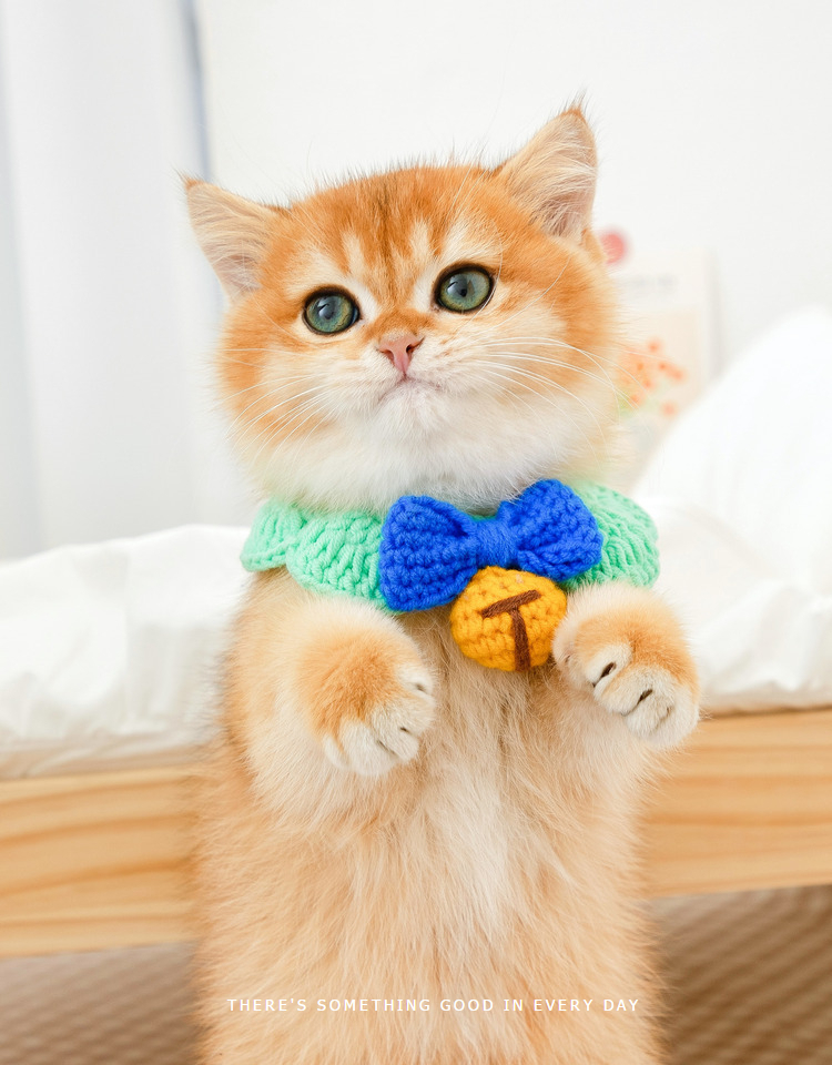 ペット用首輪 ねこちゃんのおめかし首輪