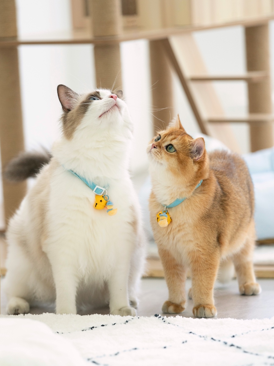 ペット用首輪 音色リンリン 猫の鈴付き首輪