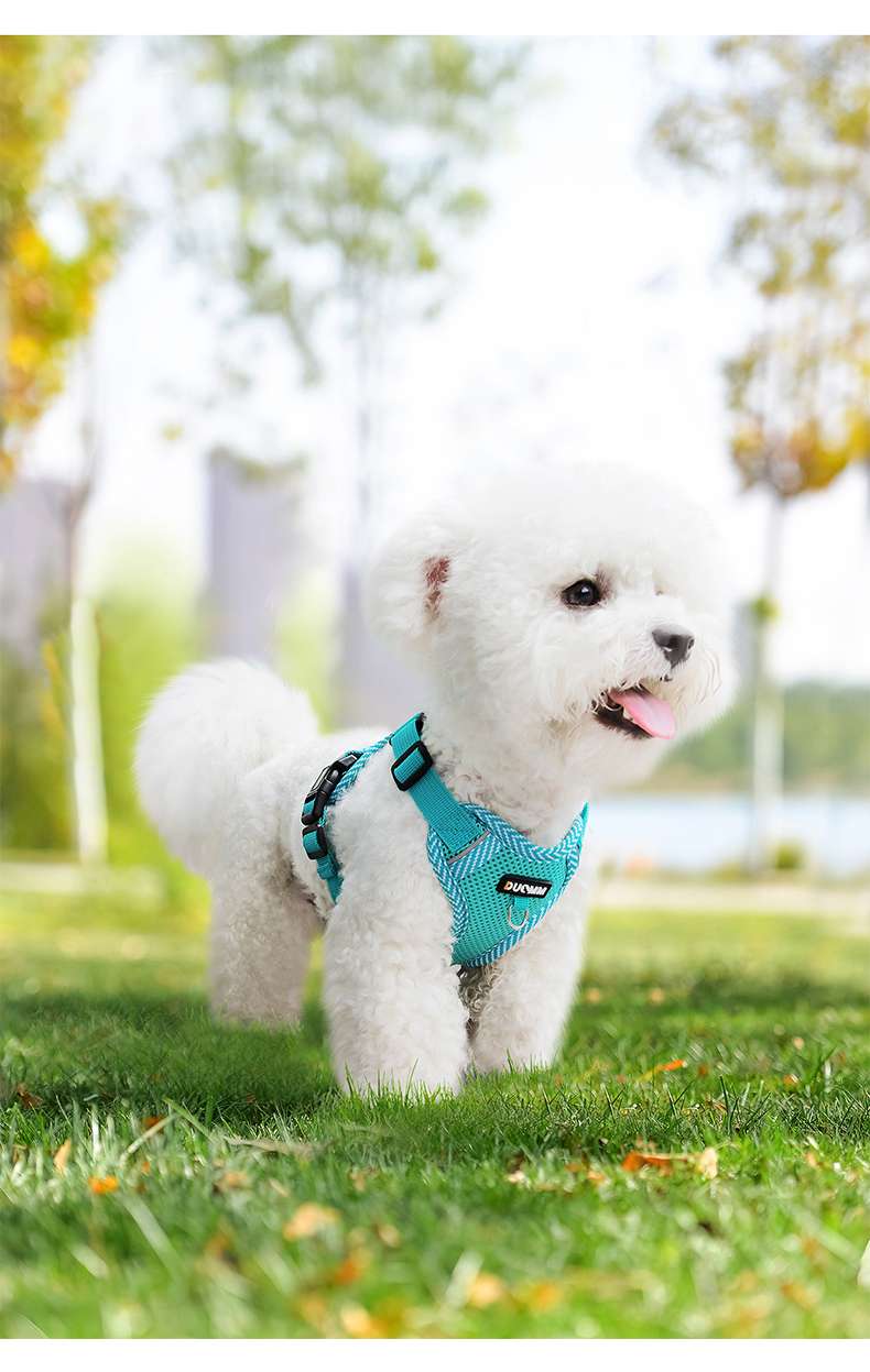 https://fulmo-img-server.com/poppuppy/45f98b6421b34d4fb1b7a88a90a5cd22.jepg