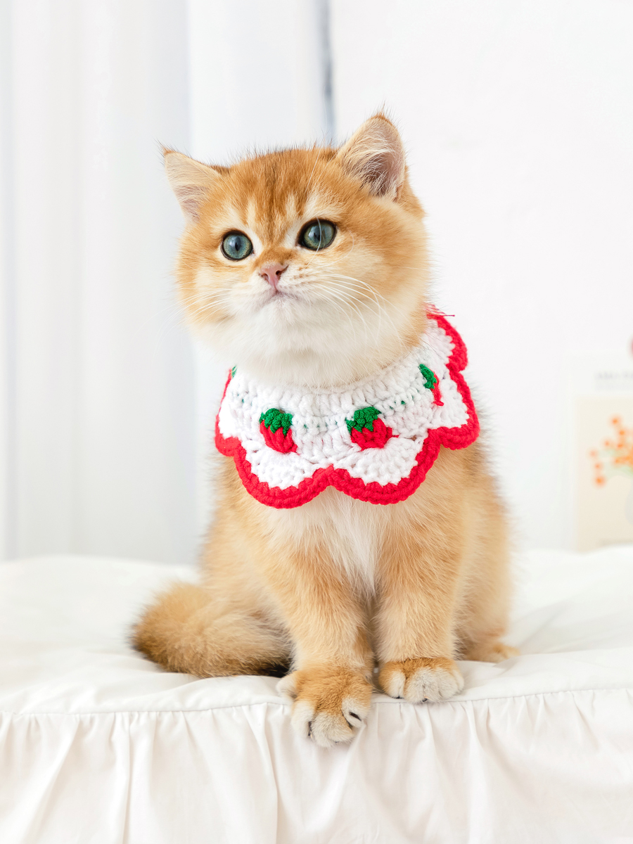 ペット用首輪 いちごレース付き猫用首輪
