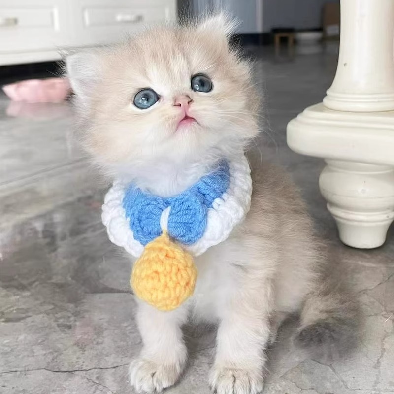 ペット用首輪 もこもこ鈴つき猫首輪