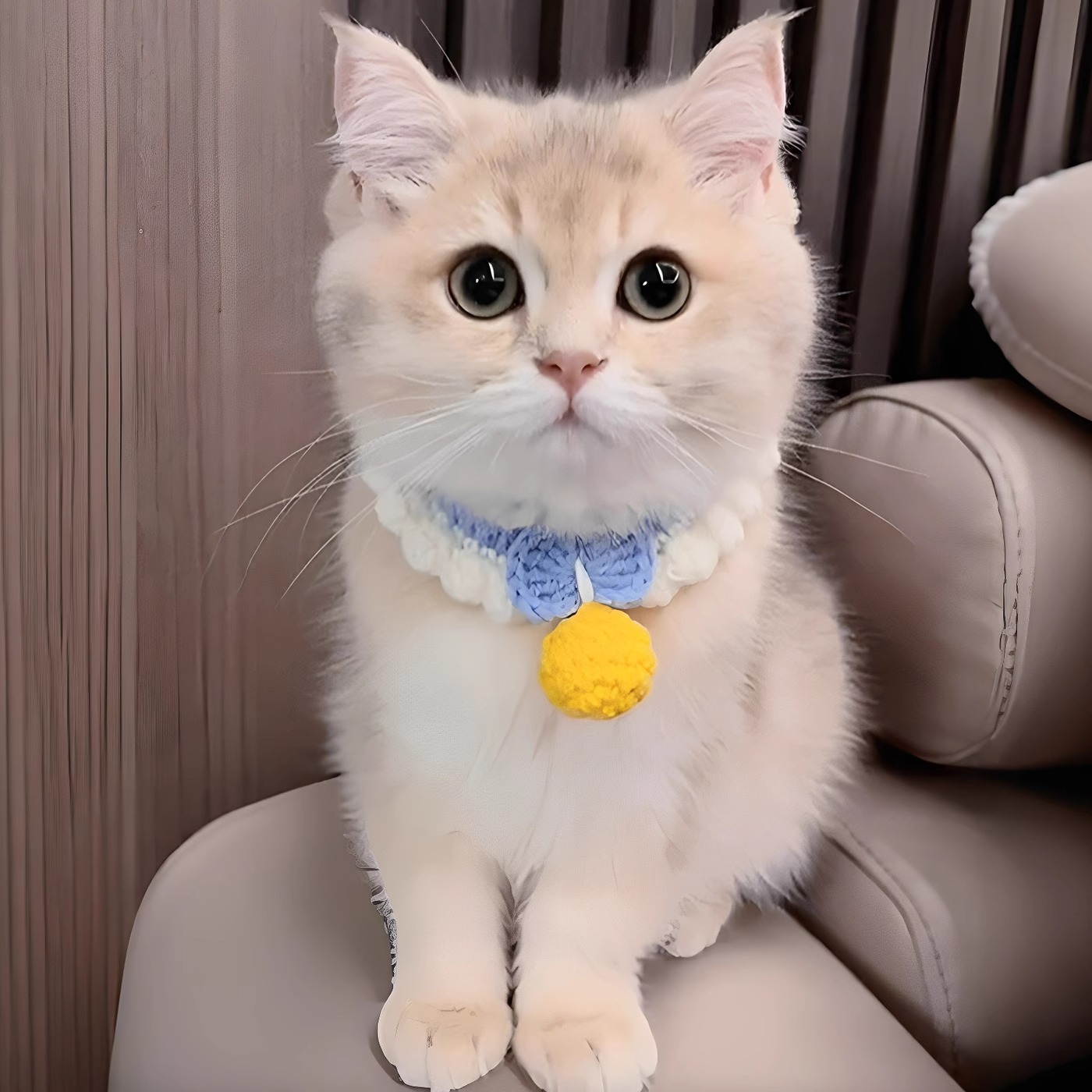 ペット用首輪 もこもこ鈴つき猫首輪