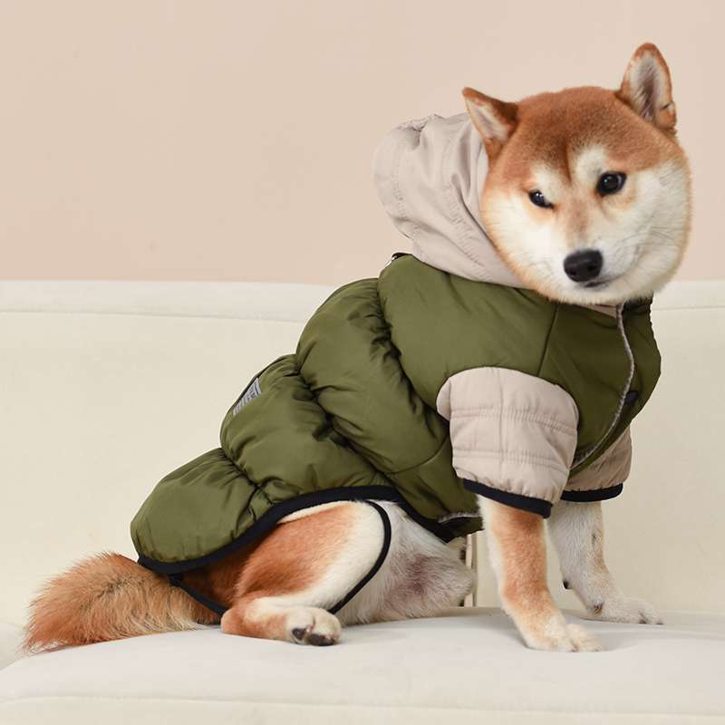 ダウン
