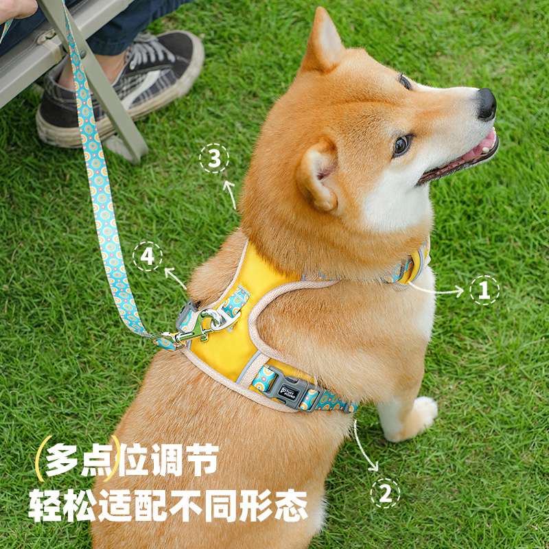 ハーネス