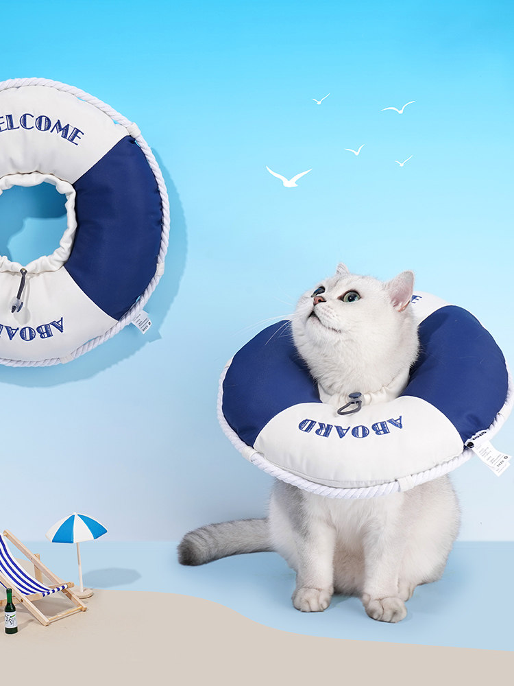 https://fulmo-img-server.com/poppuppy/4cfef099-b639-4d9e-b88c-0883511f20c1.jpg