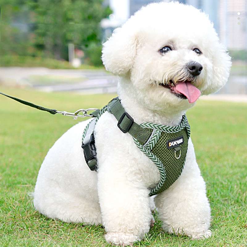 https://fulmo-img-server.com/poppuppy/4e4452b9e0a24446bb95eb817f76d99c.jepg