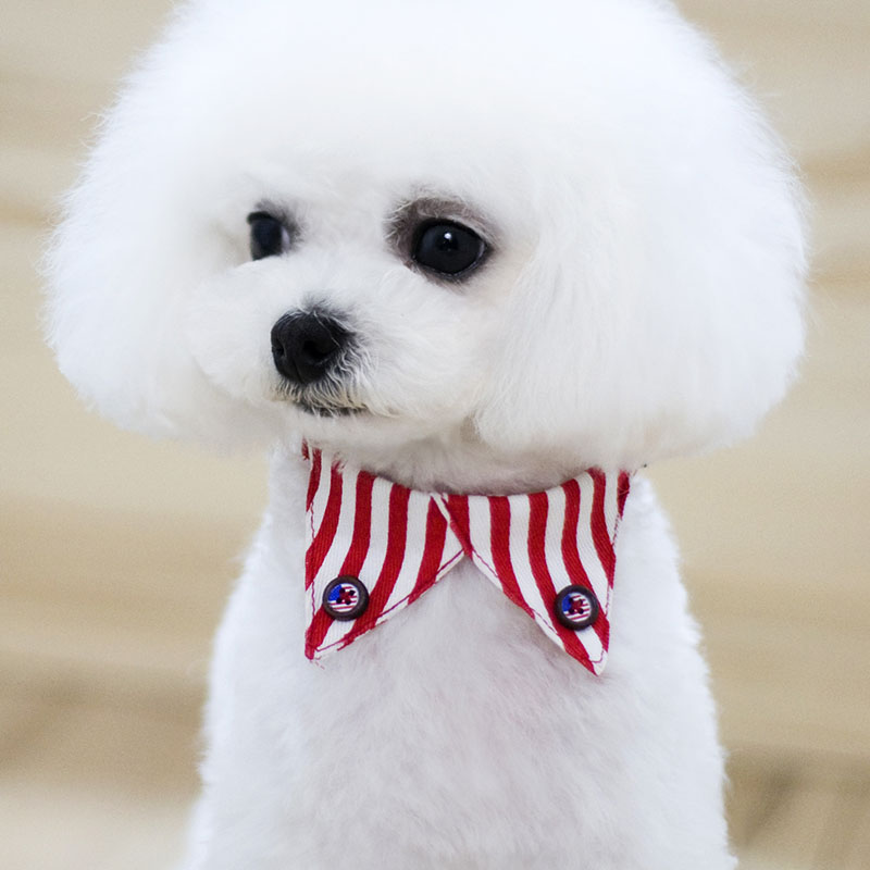 https://fulmo-img-server.com/poppuppy/4e98d40d-5c09-4562-93c4-d1a823d878ba.jpg