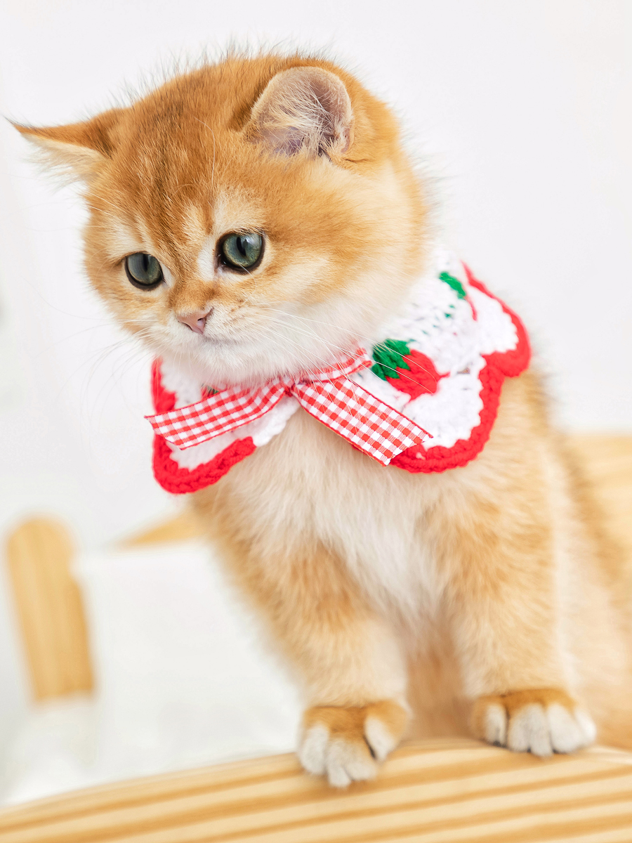 ペット用首輪 いちごレース付き猫用首輪