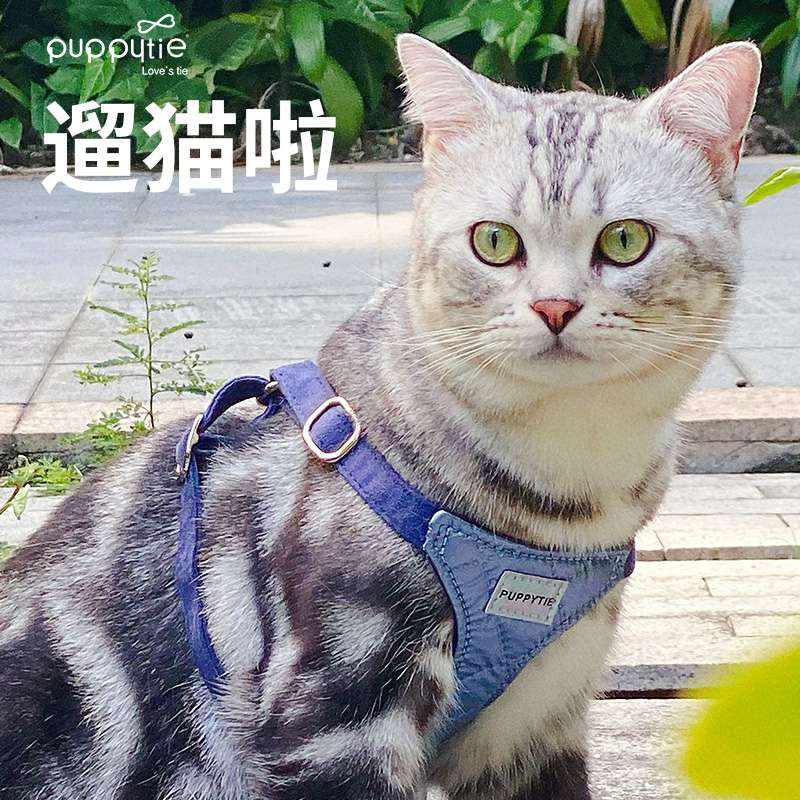 ハーネス
