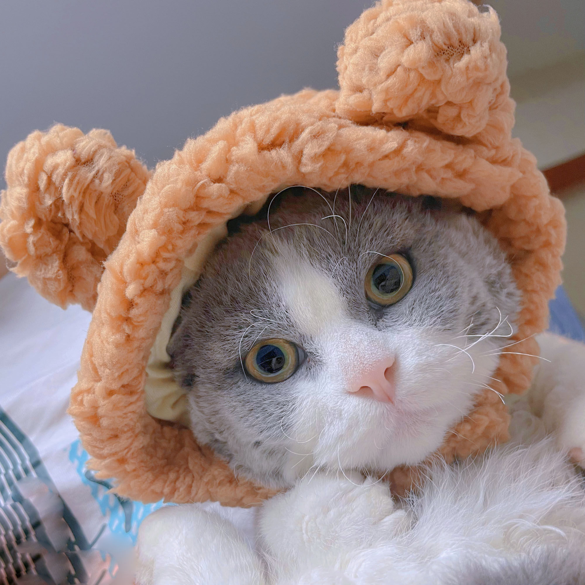 https://fulmo-img-server.com/poppuppy/5627c3ac-202f-42d9-8033-e03569b6edaf.jpg