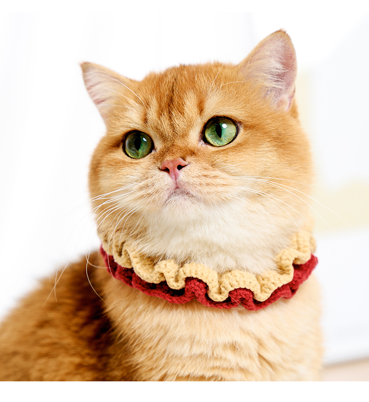 ペット用首輪 ふんわりフリルの猫専用首輪