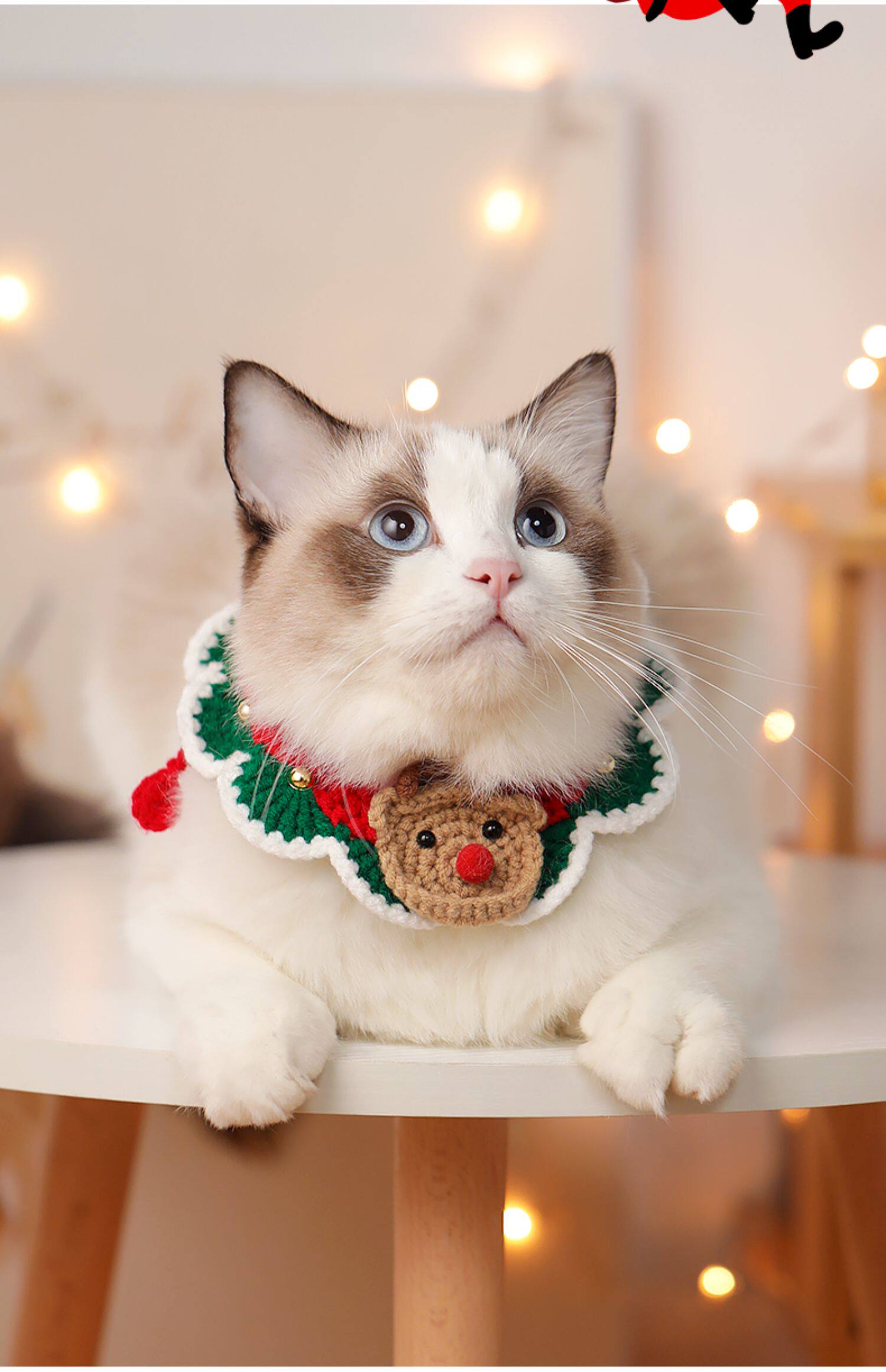 https://fulmo-img-server.com/poppuppy/5da8426c-c01c-4fa7-bc15-8f32ac88a64b.jpg