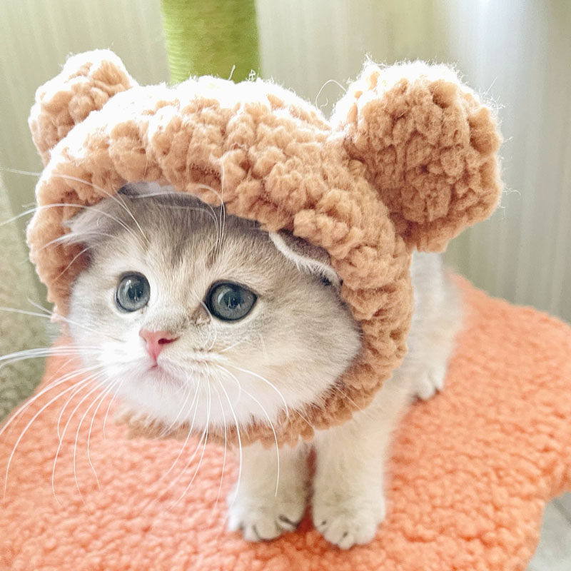 https://fulmo-img-server.com/poppuppy/5f3e39e7-70dc-4f33-8c28-5900039fc0b2.jpg