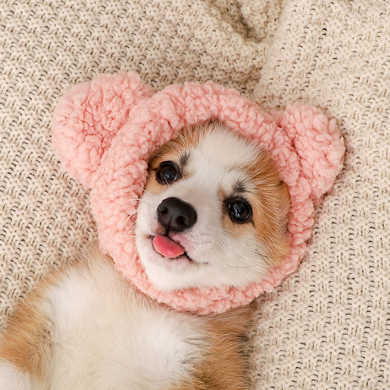 https://fulmo-img-server.com/poppuppy/608a4926-5e5d-4451-ba2b-41c8fbca8949.jpg