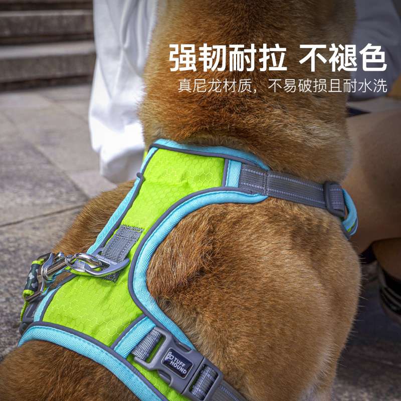 セットアップ