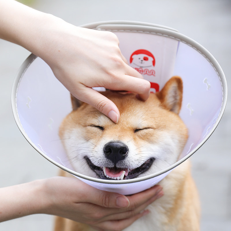 ペット用首輪 犬猫兼用 軽量エリザベスカラー 通気穴付き