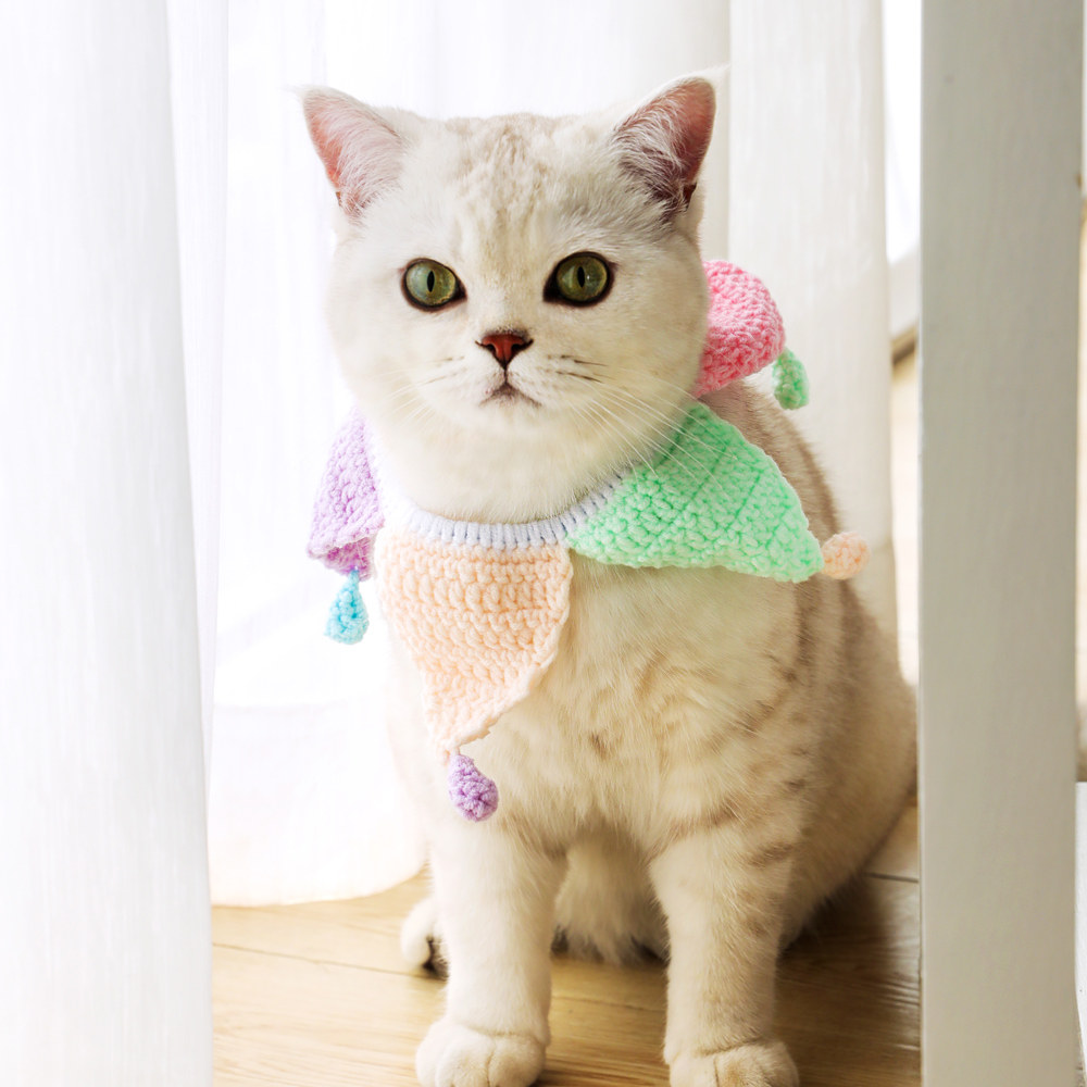 https://fulmo-img-server.com/poppuppy/637f1794-adeb-4e86-8123-0f579447ee98.jpg