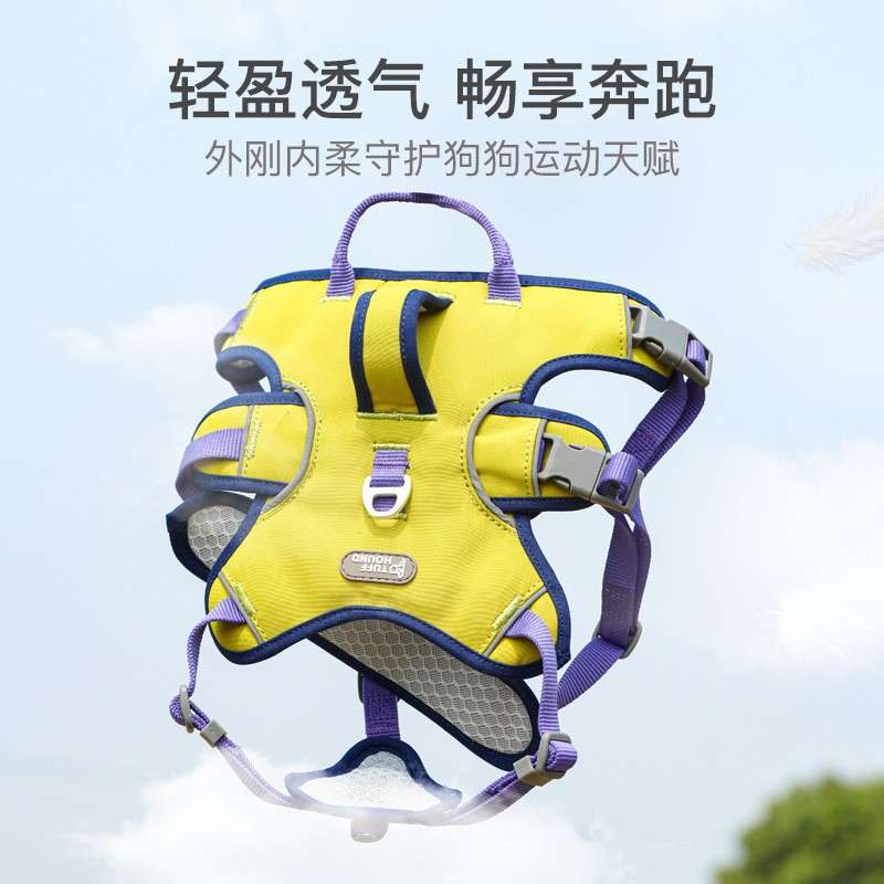 セットアップ