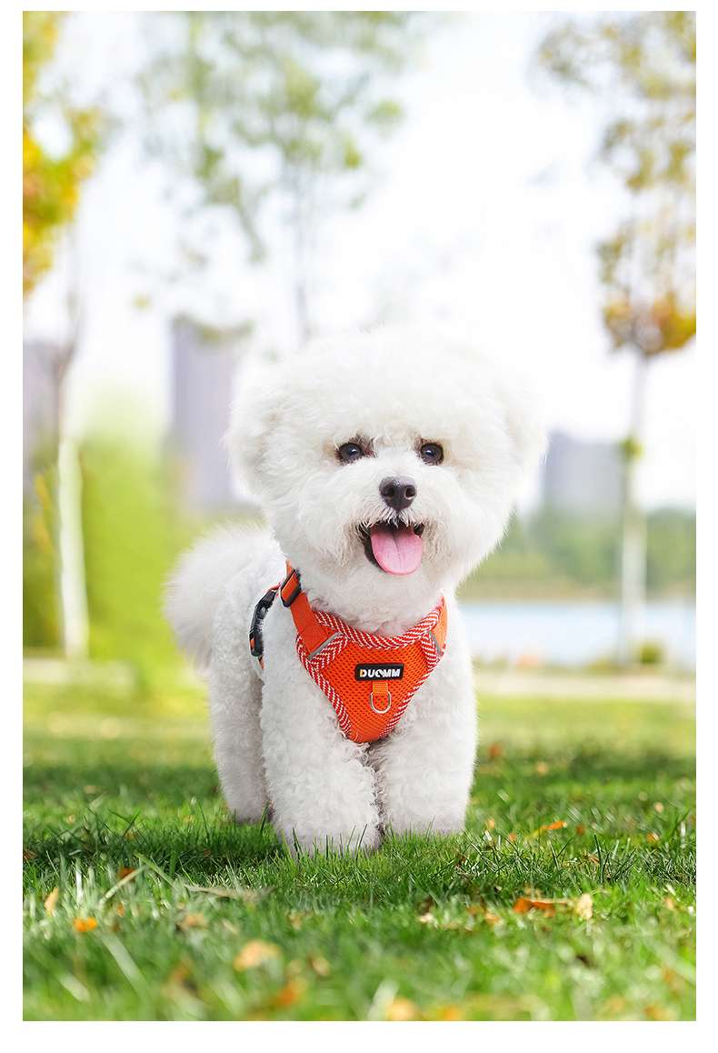 https://fulmo-img-server.com/poppuppy/6805a28c88d34223b8e47e78fd3e376f.jepg