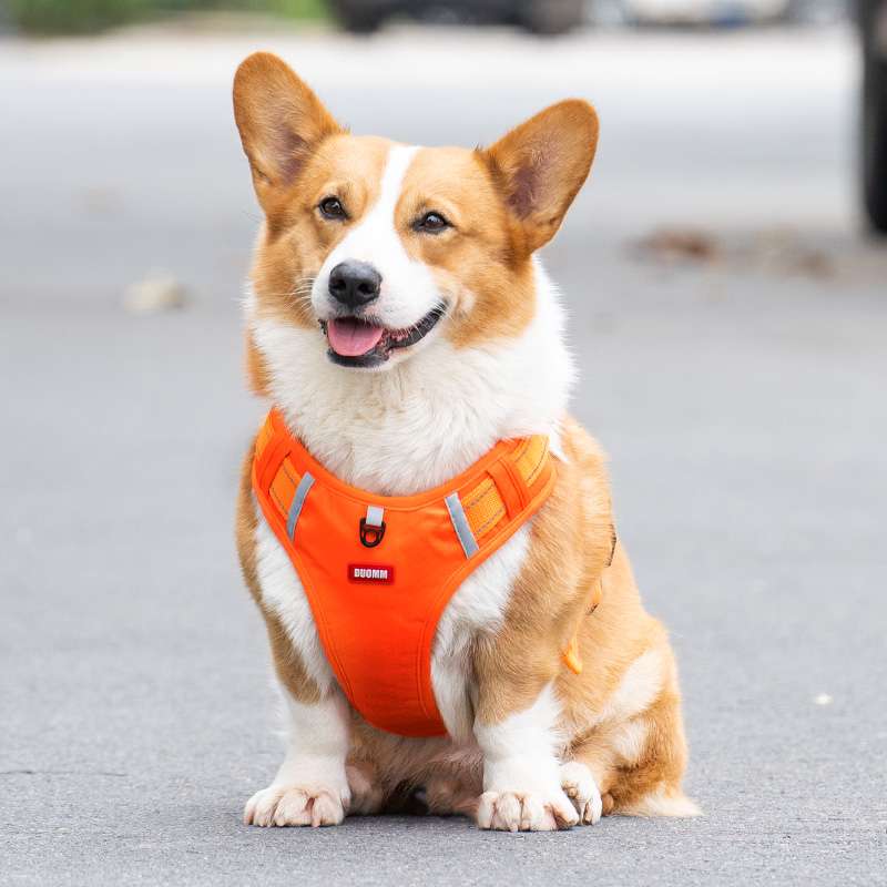 【ハーネス】多機能ペット用首輪 コーギー用快適ハーネス 小型犬 中型犬 大型犬 おしゃれ かわいい 脱げない  胴輪 介護