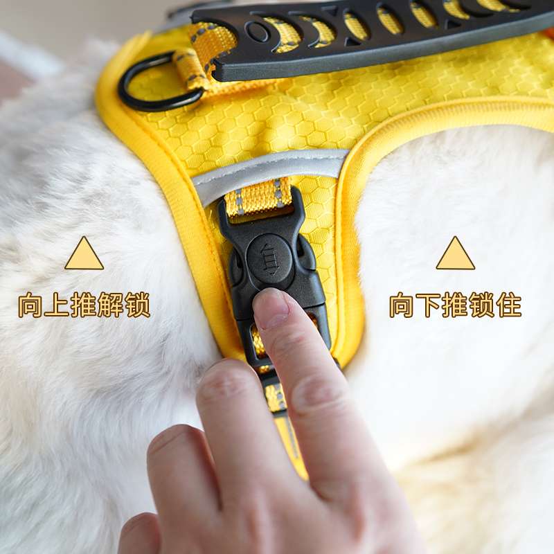 セットアップ（1.5mリード）