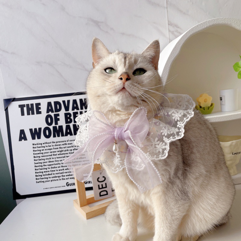 ペット用首輪 蝶々レース飾り付き華やか首輪