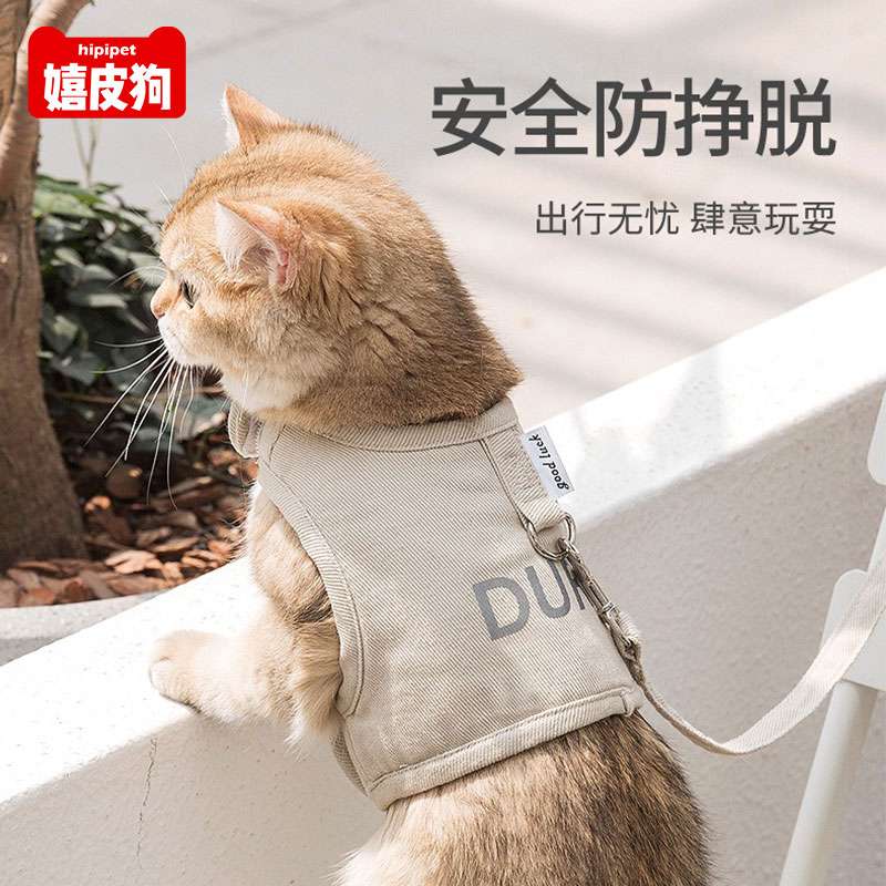 セットアップ