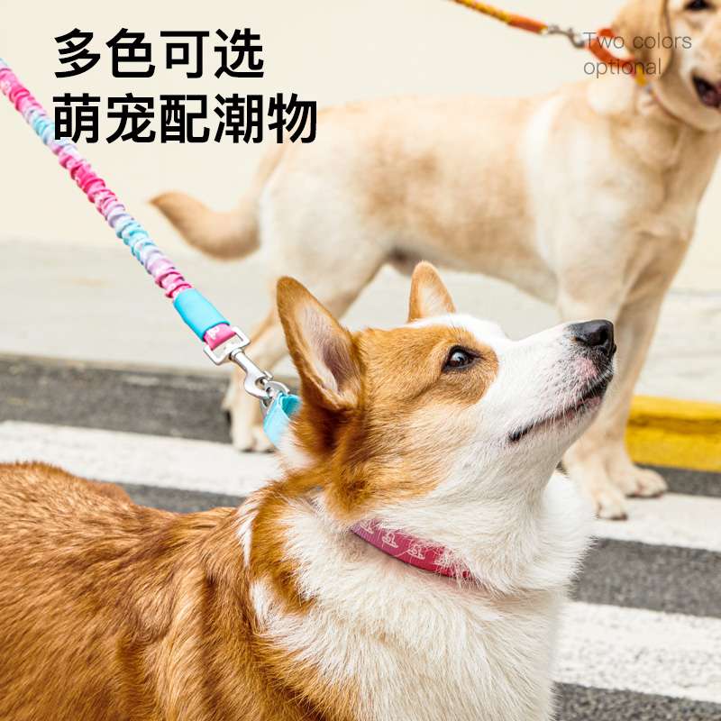 リード