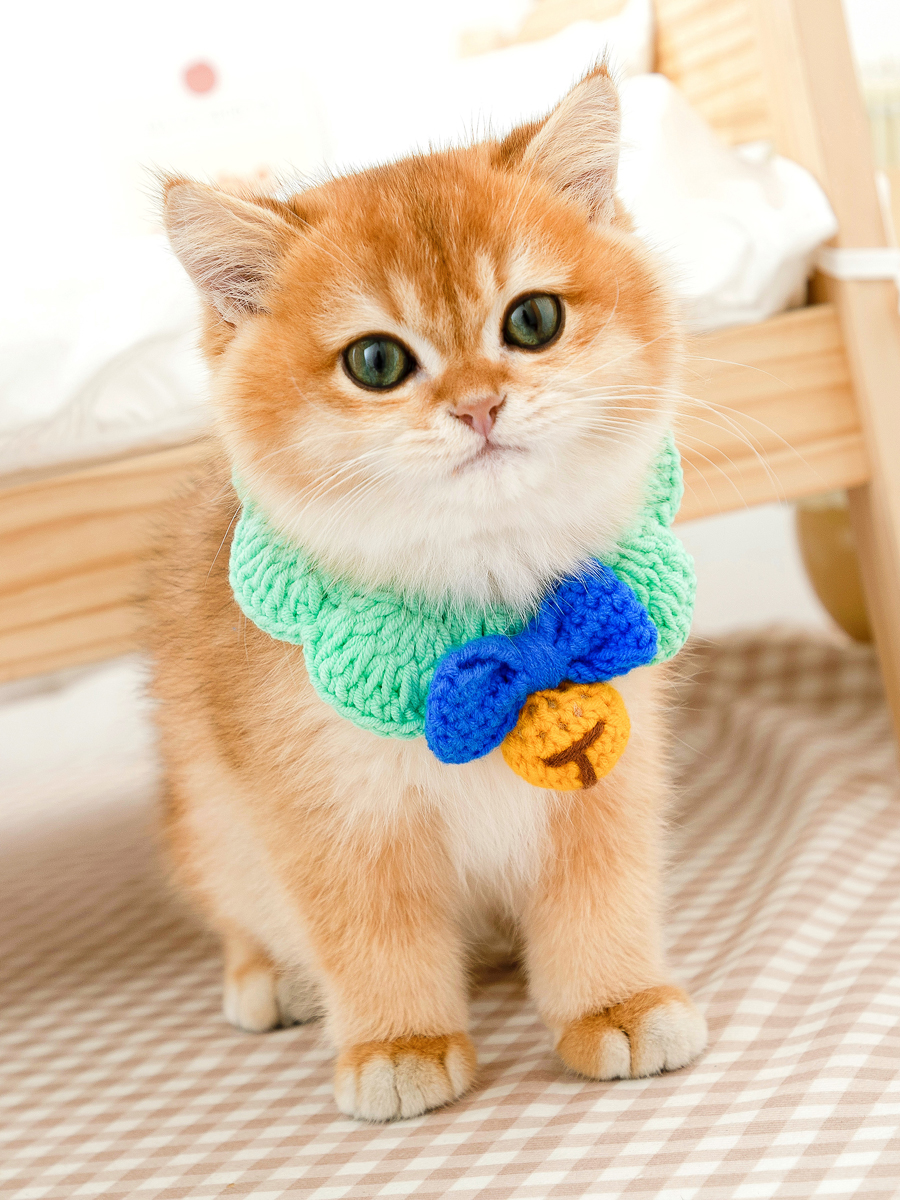 ペット用首輪 ねこちゃんのおめかし首輪