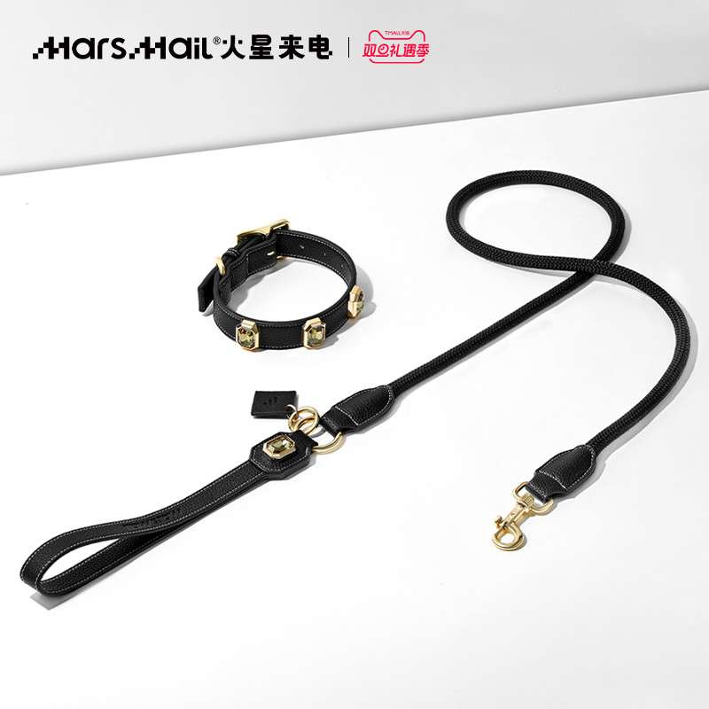 ハーネスセットアップ