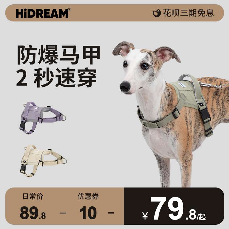 リード