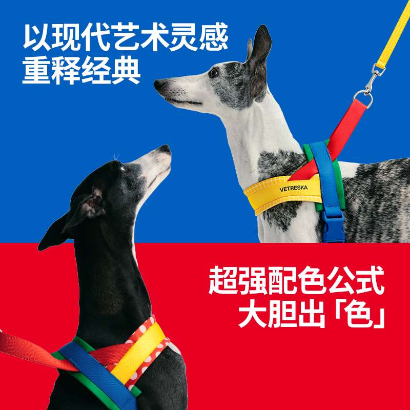 ペット用首輪 高級デザイン ペット用ハーネスセット